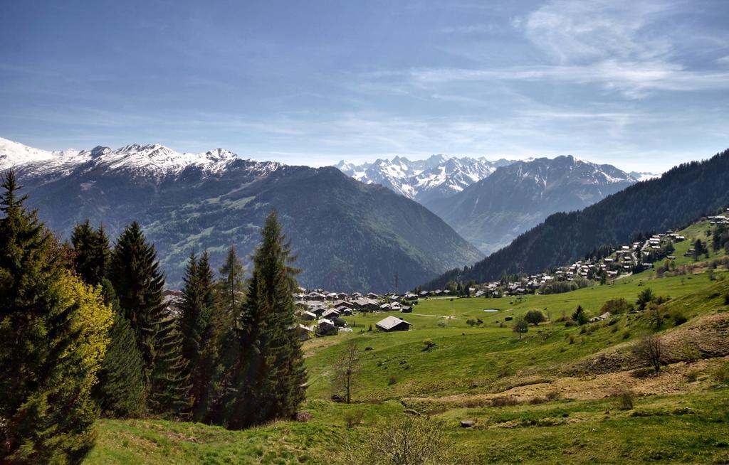 Fouquet 1Er Villa Verbier Rum bild